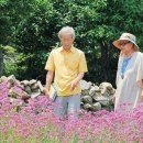 100세동안 이미지