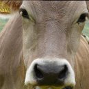 코바늘 소품 만들기 이미지