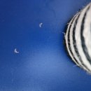 멤피스타워 이미지