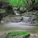 대티골계곡 이미지