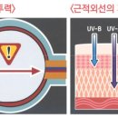 동양안경 이미지