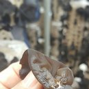 용해농장 이미지