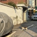 까사데 카페 | [용산 해방촌] 까사츄로 카페 다녀온 후기 🇪🇸