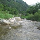 왕산골숲속 Daum카페
