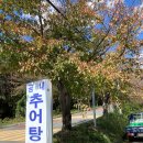 곰내추어탕 이미지