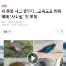 새 충돌 사고 줄인다…고속도로 방음벽에 '사각점' 첫 부착 이미지