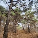 충북 옥천군 어깨산(441m) 망덕산(345m)은 최고의 금강 조망 맛집이었다~.. 이미지