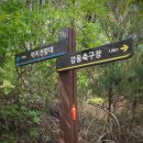 네바퀴정비마을 부산강동점 | 2025.04.24. 울산 북구 우가산(까치봉) &amp; 금실정