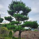 건달산로 이미지