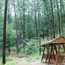 용인목재문화체험장 오감의숲 놀이터 | 용인시 용인 태교의 숲