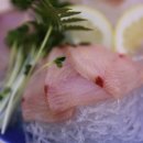 완도회타운 이미지