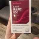 건강나무열매태권도장 | 뉴트리원 프리미엄 베르베린 매자나무열매 추천