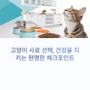 기성산업 | 고양이 사료 선택, 건강을 지키는 현명한 체크포인트