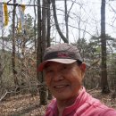 곡성-194 이미지