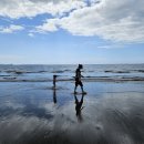 바다비치 이미지