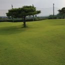 해림골프 # 해림골프 경산 파3골프장 경산 골프연습장 다녀온 후기