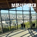 행복카크리닉 | 대전 보문산큰나무전망대 후기, 요즘 가장 핫한 대전 신상 명소