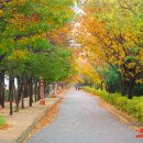 중랑천육교 이미지