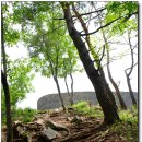 이야기가 있는 생태 탐방로 이미지