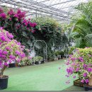 벽천농장 이미지