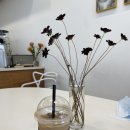 코너스톤101 이미지