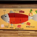 원참치 이미지