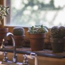 지산치과의원 이미지