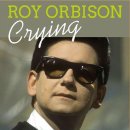 Not Alone Anymore - Roy Orbison - 이미지