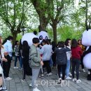 대숲향기 이미지