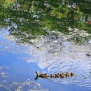 경충대로 2709번길 4 이미지