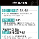 슈가복싱 이미지