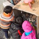 자연애캠핑장 이미지