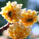 화신식물원 이미지