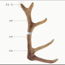 김상호한의원 이미지