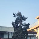 가마골곤지암소고기국밥 | 곤지암과 신립장군