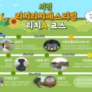 리치리치 페스티벌 이미지