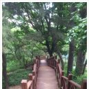 주약초등학교 앞 이미지