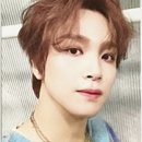 드림파인더
