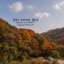 카페 산 이미지