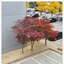 엘당구클럽 이미지