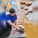 해피그루밍 | 일산 라페스타 고양이카페 냥이놀이터