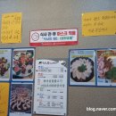 청솔복집 이미지