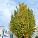 세븐일레븐 종로창성점 이미지