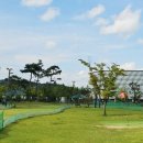 연기면_세종중앙공원(중앙)공터 | 2026 세종시 파크골프장 예약 방법 및 이용료 (금강·중앙공원 완벽 정리)