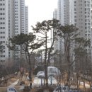 구립 가락1동 어린이집 이미지