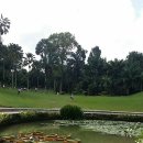 [싱가폴] 보타닉가든 & 새공원 이미지