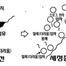맵시크린 이미지