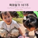새봄숲키즈어린이집 | [공지] 육아일기 167주 햄버거 만들기 숲어린이집 숲과 함께 놀자 시흥 키즈카페