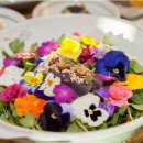 미스터Lee 이미지