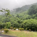 미리내팬션 이미지